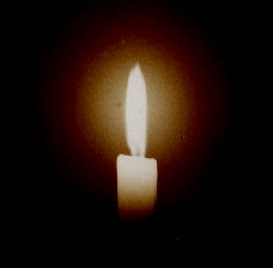 Light Shines in the&nbsp;Darkness